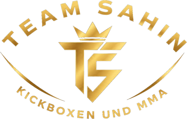 Logo Team Sahin Kickboxen und MMA